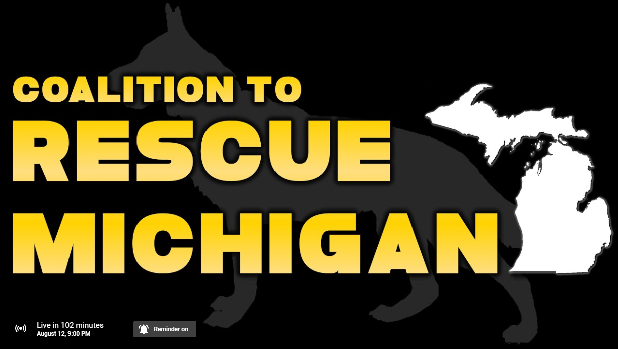 Rescue Michigan: How to Respond to Politicians' Brush-Off Letter