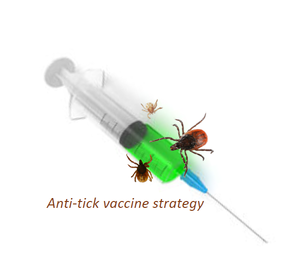 Big Pharma Disguises COVID Vaccine as New "Anti-Tick Vaccine"